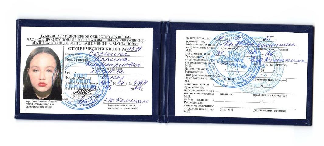 Студенческий билет 
