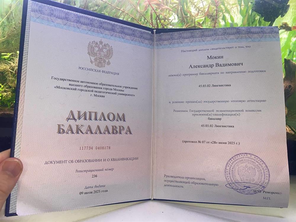Московский городской педагогический университет, лингвистика, перевод и переводоведение — английский язык