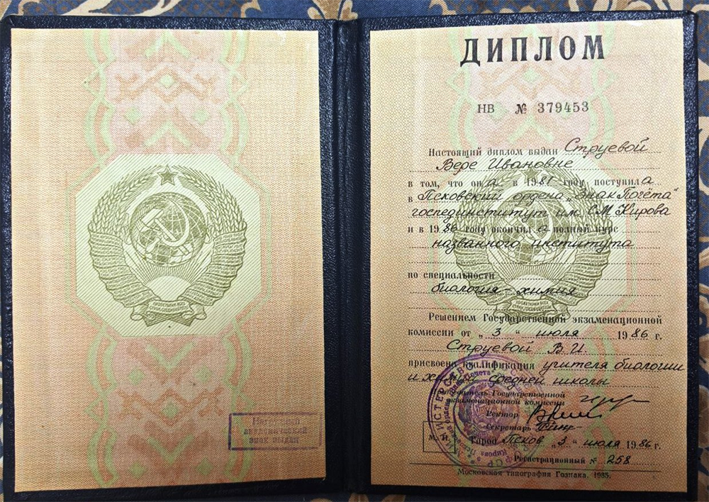 Диплом Струевой В.И.