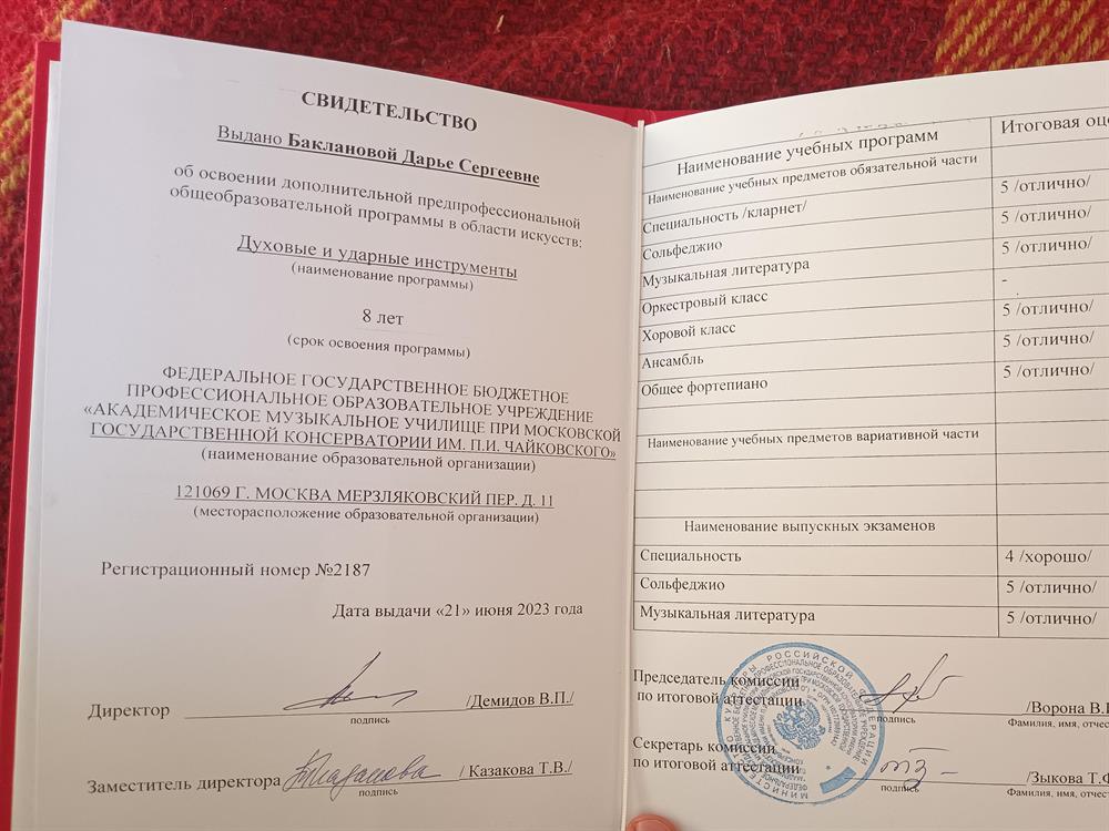 свидетельство об освоении дополнительных предпрофессиональных общеобразовательных программ в области искусств