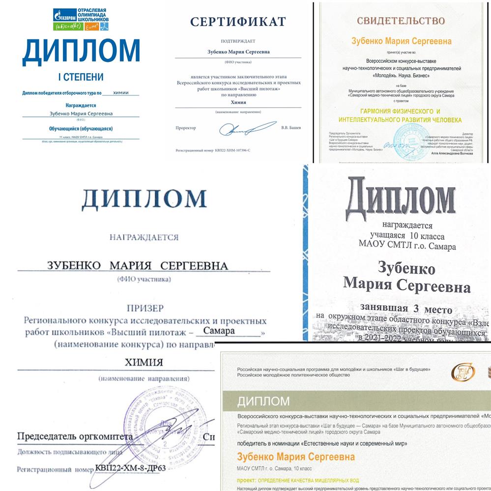 Призерство в различных всероссийских конференциях и олимпиадах