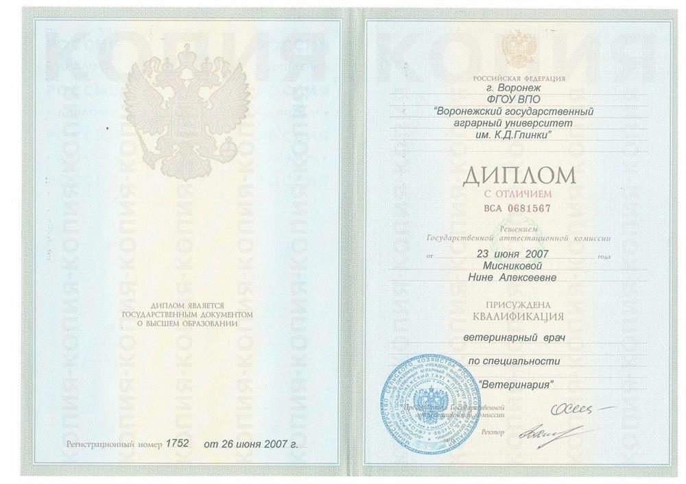 Диплом о высшем образовании

