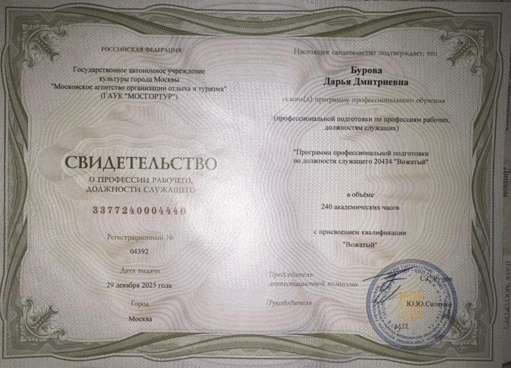 свидетельство о прохождении школы вожатых
