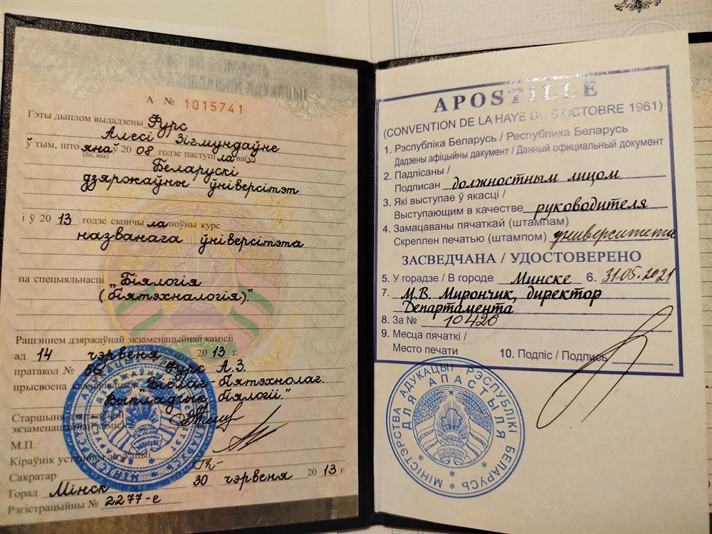 диплом о высшем образовании 