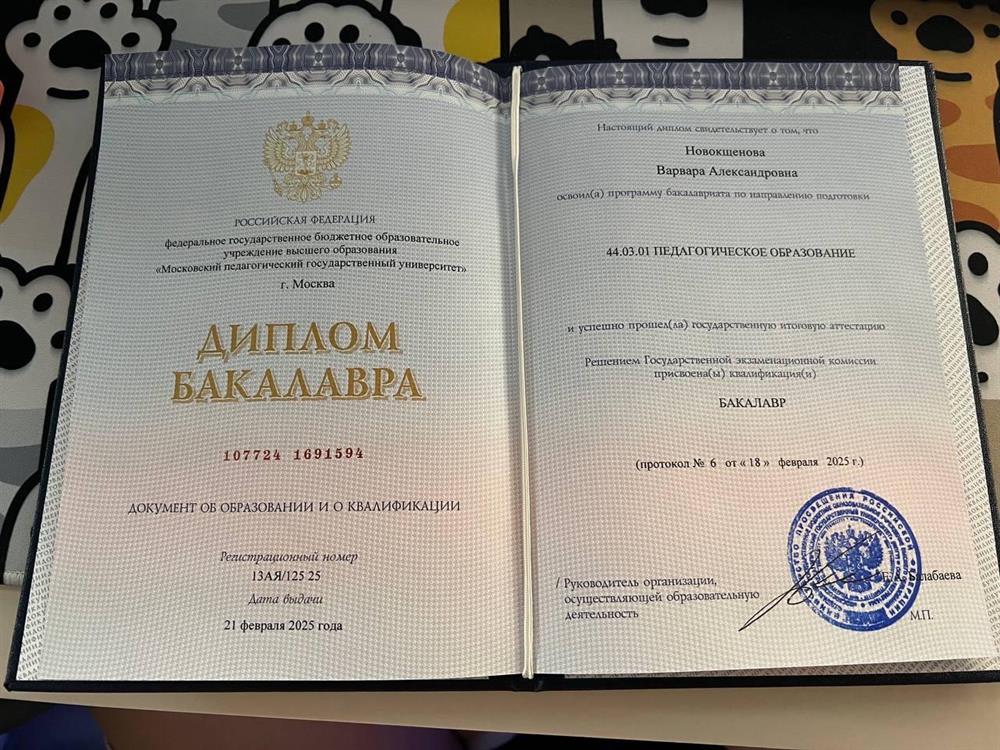 Диплом бакалавра