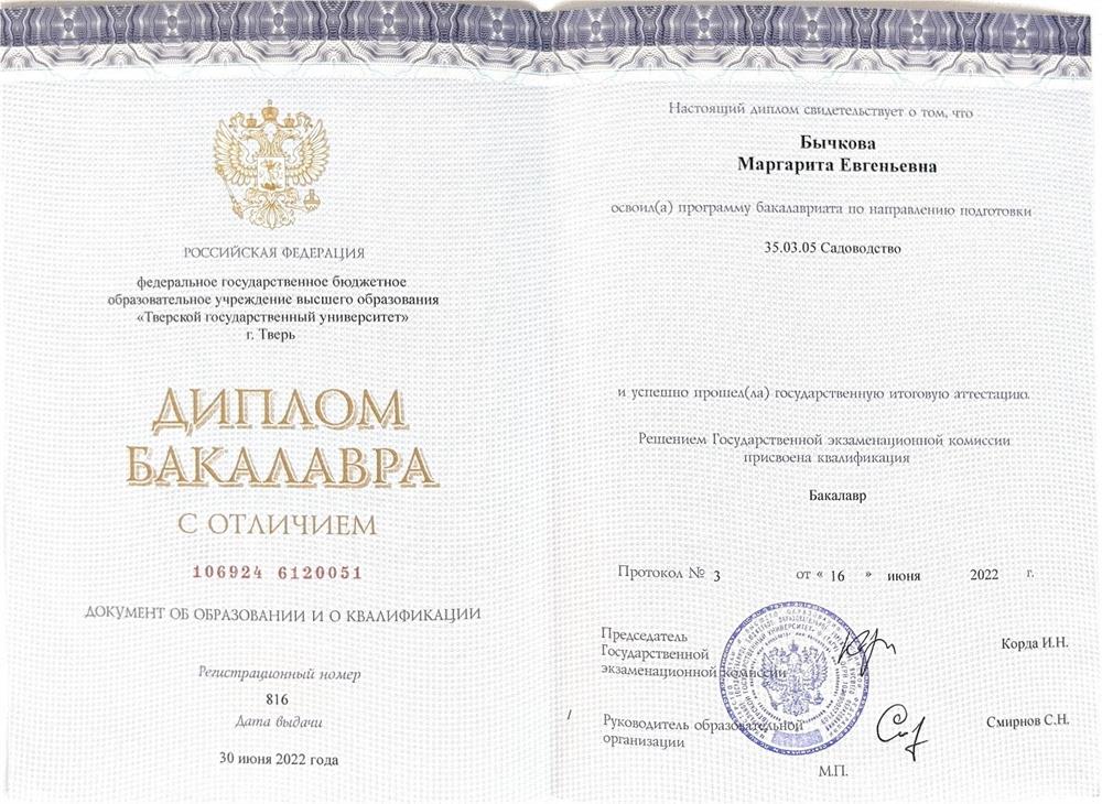 Диплом Бакалавра с отличием 