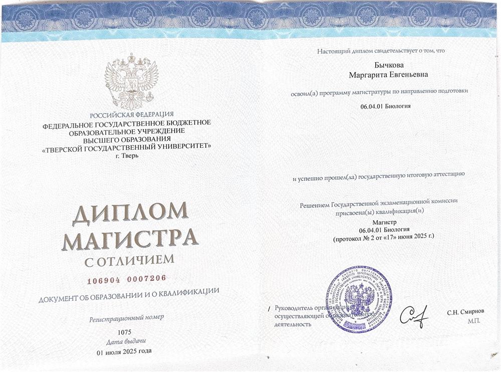 Диплом Магистра с отличием
