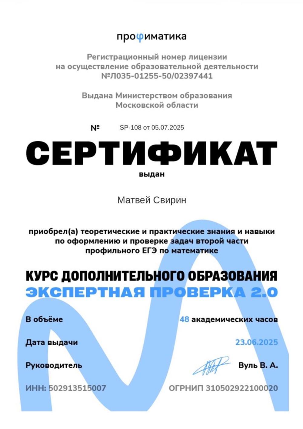 Экспертная проверка

