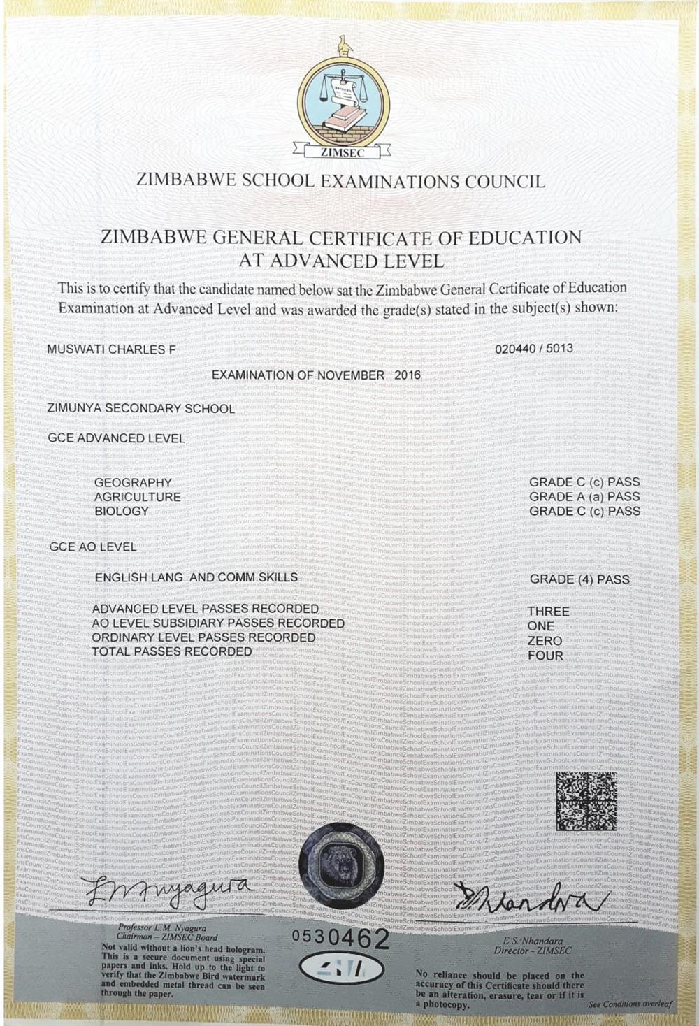 Мой сертификат A-level ZIMSEC с результатом 4 балла по английскому языку и навыкам коммуникации подтверждает прочную основу владения языком. Он развил мою способность ясно выражать мысли, эффективно структурировать идеи и участвовать в содержательных обсуждениях.

Эта квалификация поддерживает мою деятельность как преподавателя английского языка, позволяя мне помогать студентам развивать навыки говорения, письма и понимания с уверенностью и точностью.