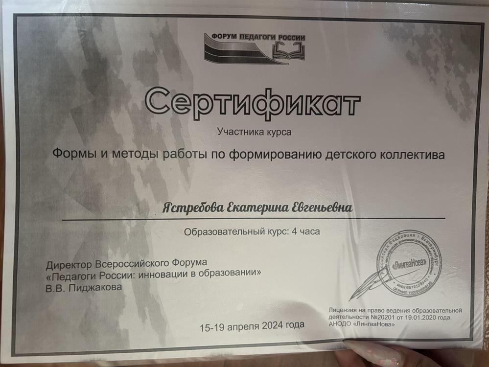 Сертификат участника курса «Формирование и методы работы по формированию детского коллектива»