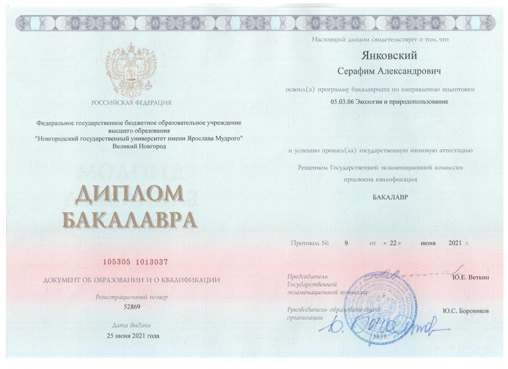 Диплом бакалавра