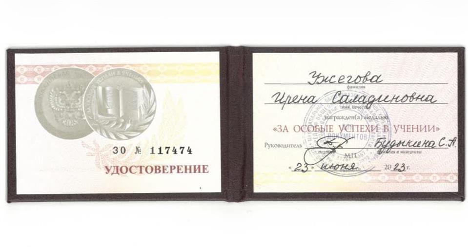 Золотая медаль за отличие в школе