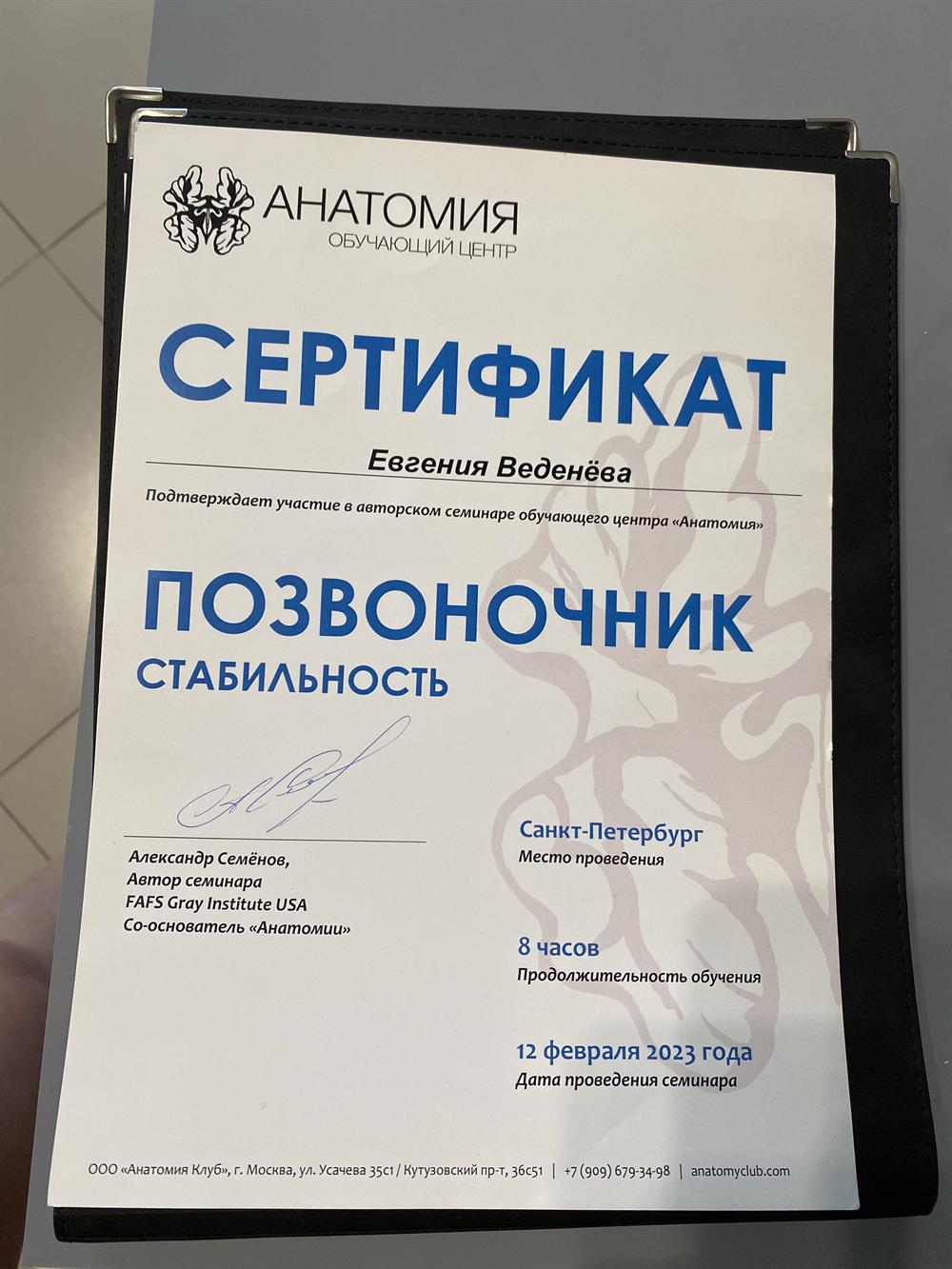 Анатомия. Позвоночник стабильность