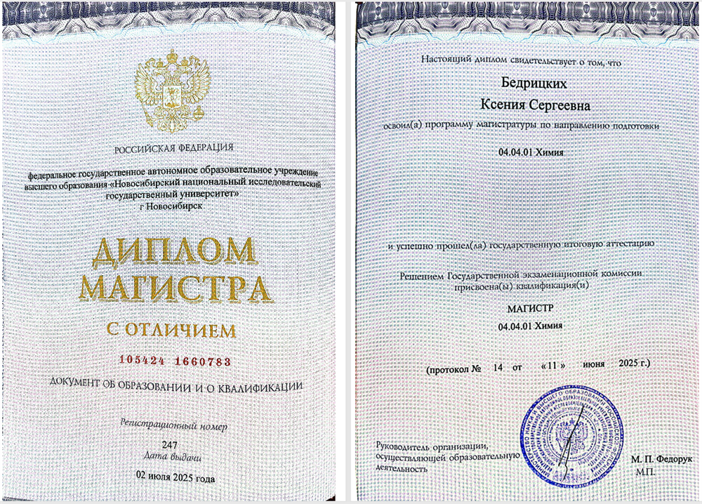 Диплом магистра с отличием