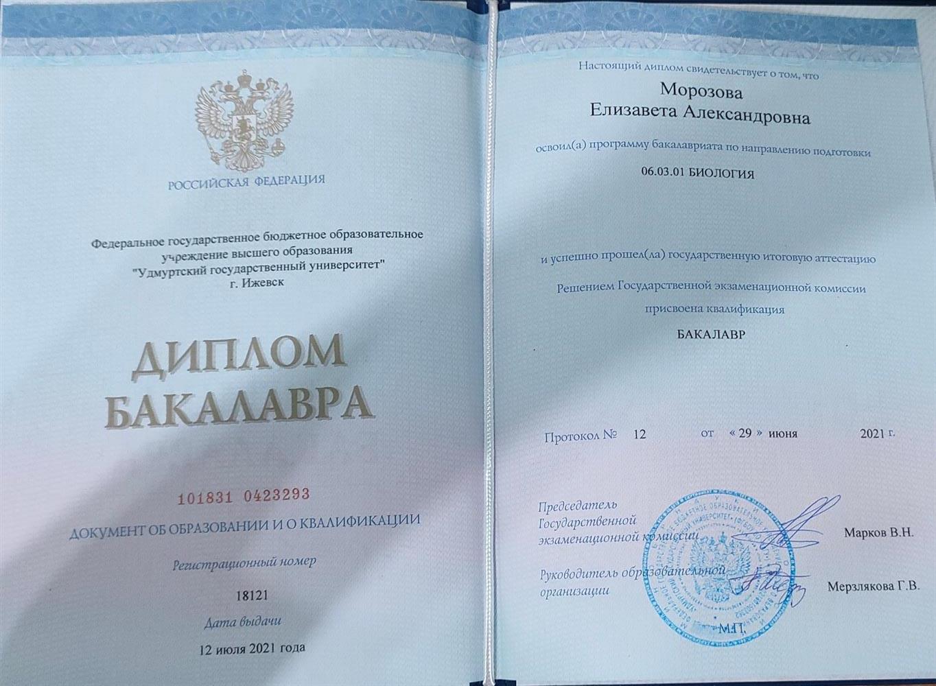 диплом бакалавра