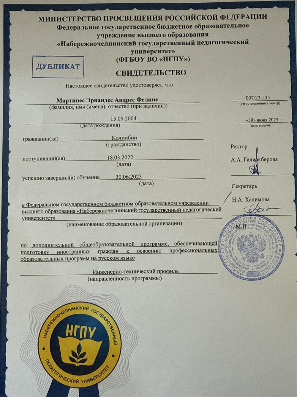 диплом русского языка 