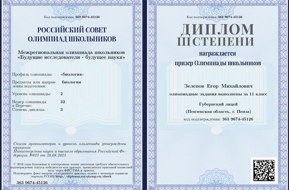 Олимпиада