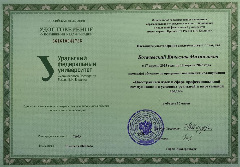 Иностранный язык в сфере профессиональной коммуникации в условиях реальной и виртуальной среды