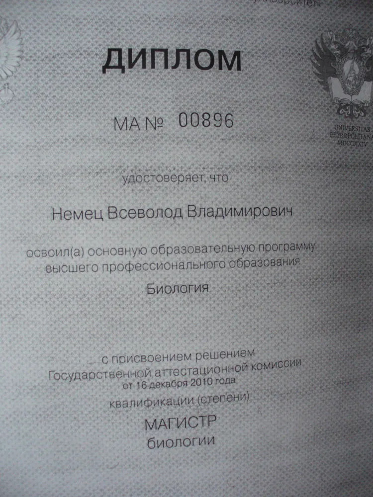 Диплом