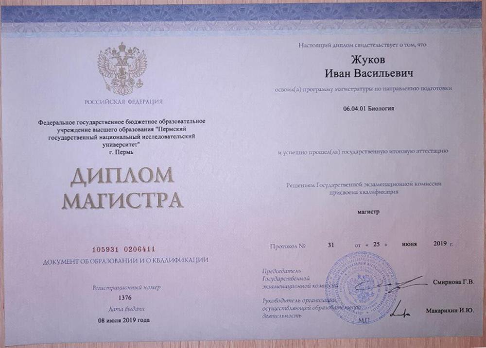 Диплом