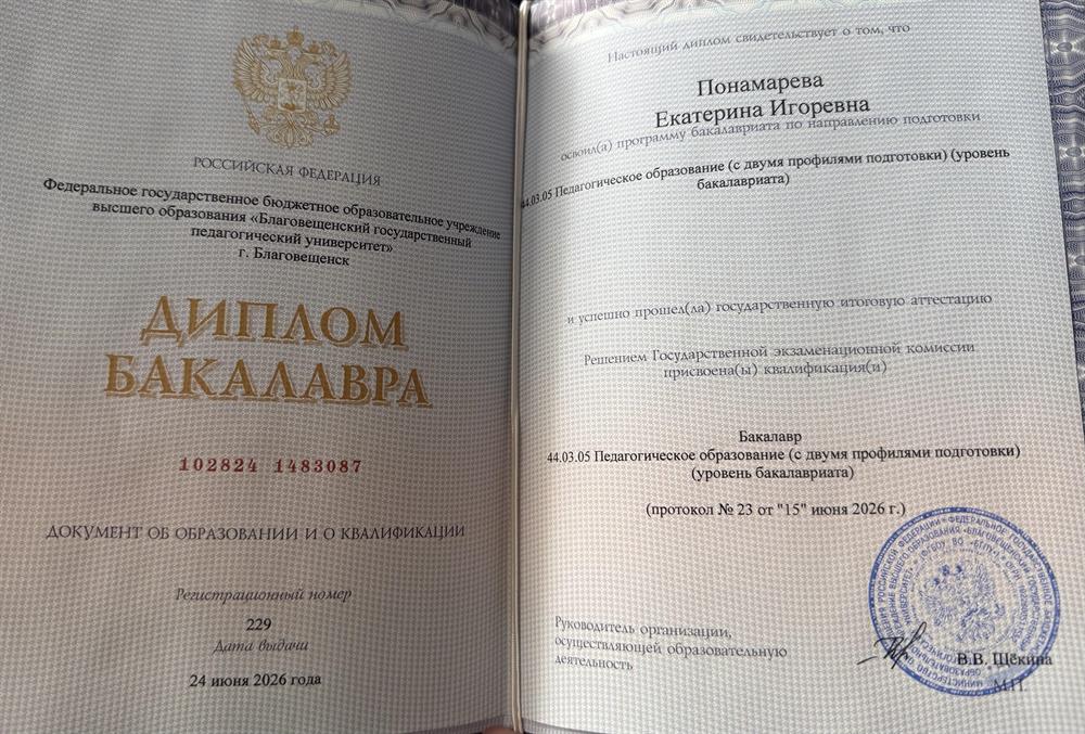 Диплом бакалавра 