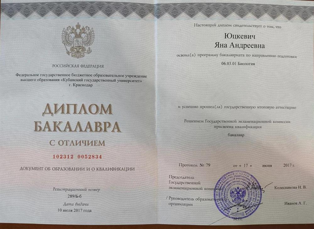 Диплом бакалавра, стр. 1