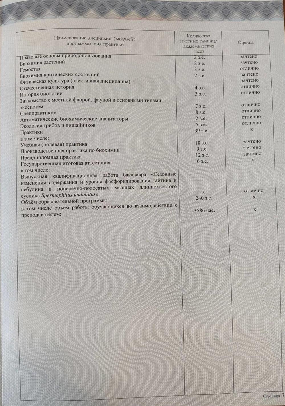 Диплом бакалавра, стр. 4