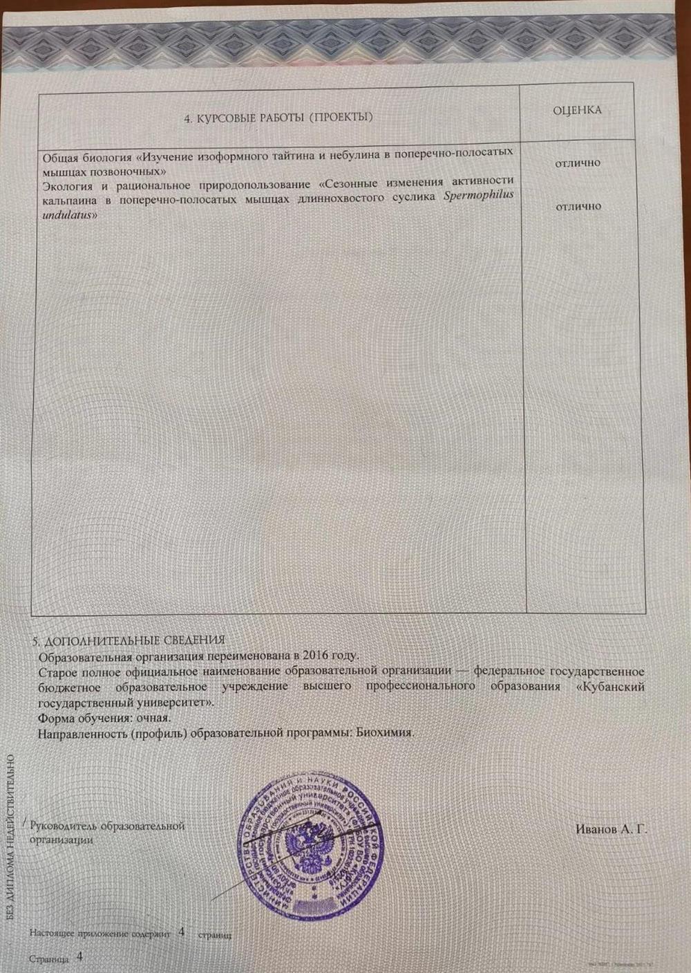Диплом бакалавра, стр. 5