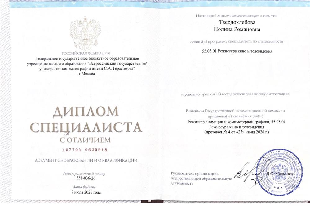 диплом ВГИК