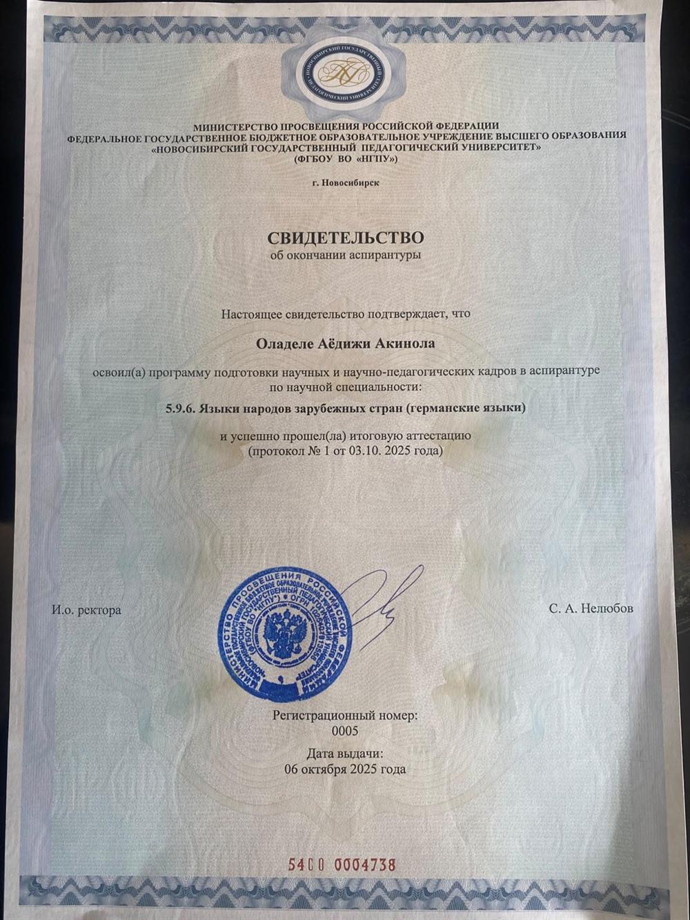 ФГБОУ ВО «НГПУ», программа подготовки научных и научно-педагогических кадров в аспирантуре «Языки народов зарубежных стран (германские языки)»