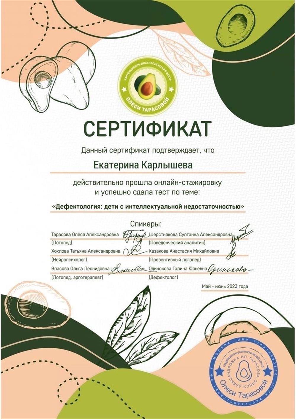 «Дефектология: дети с интеллектуальной недостаточностью»