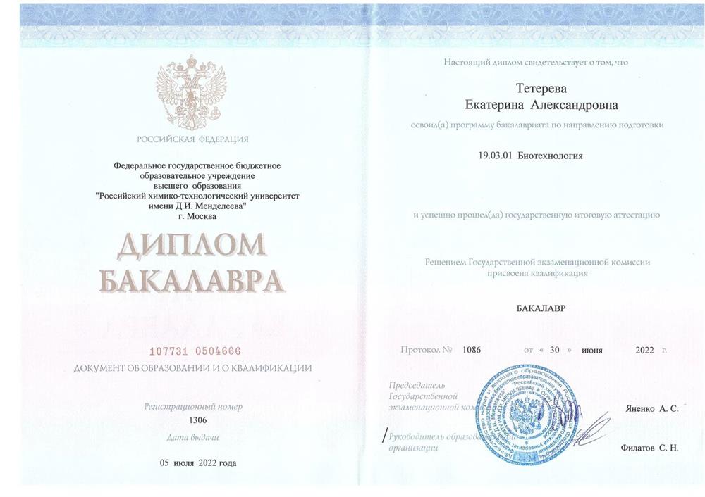 Бакалавр