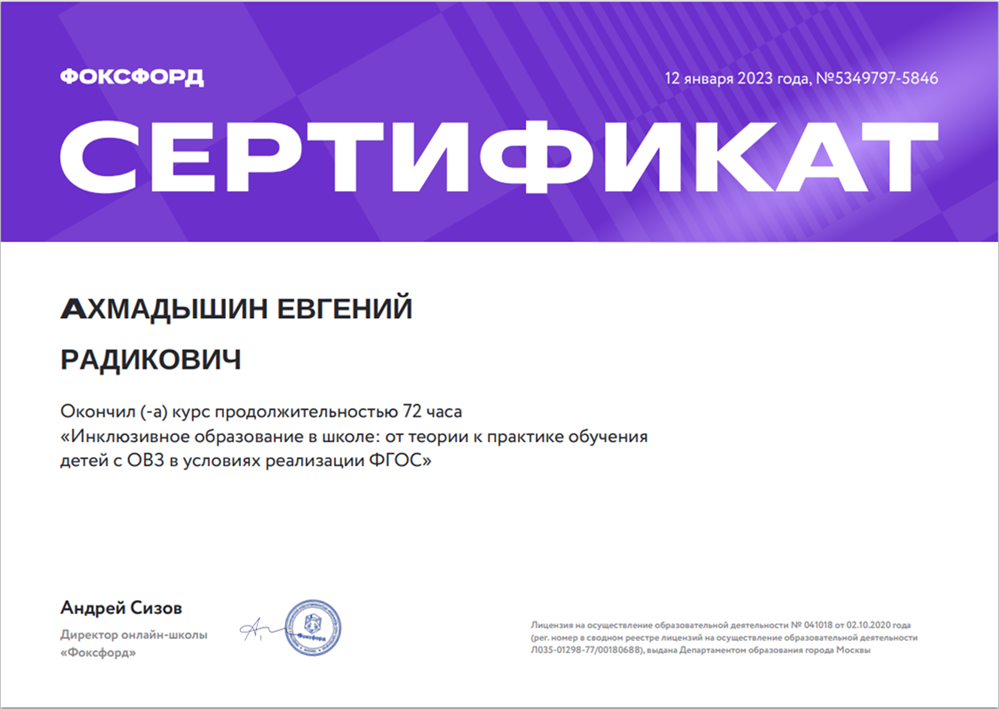 Инклюзивное образование в школе: от теории к практике обучения детей с ОВЗ в условиях реализации ФГОС