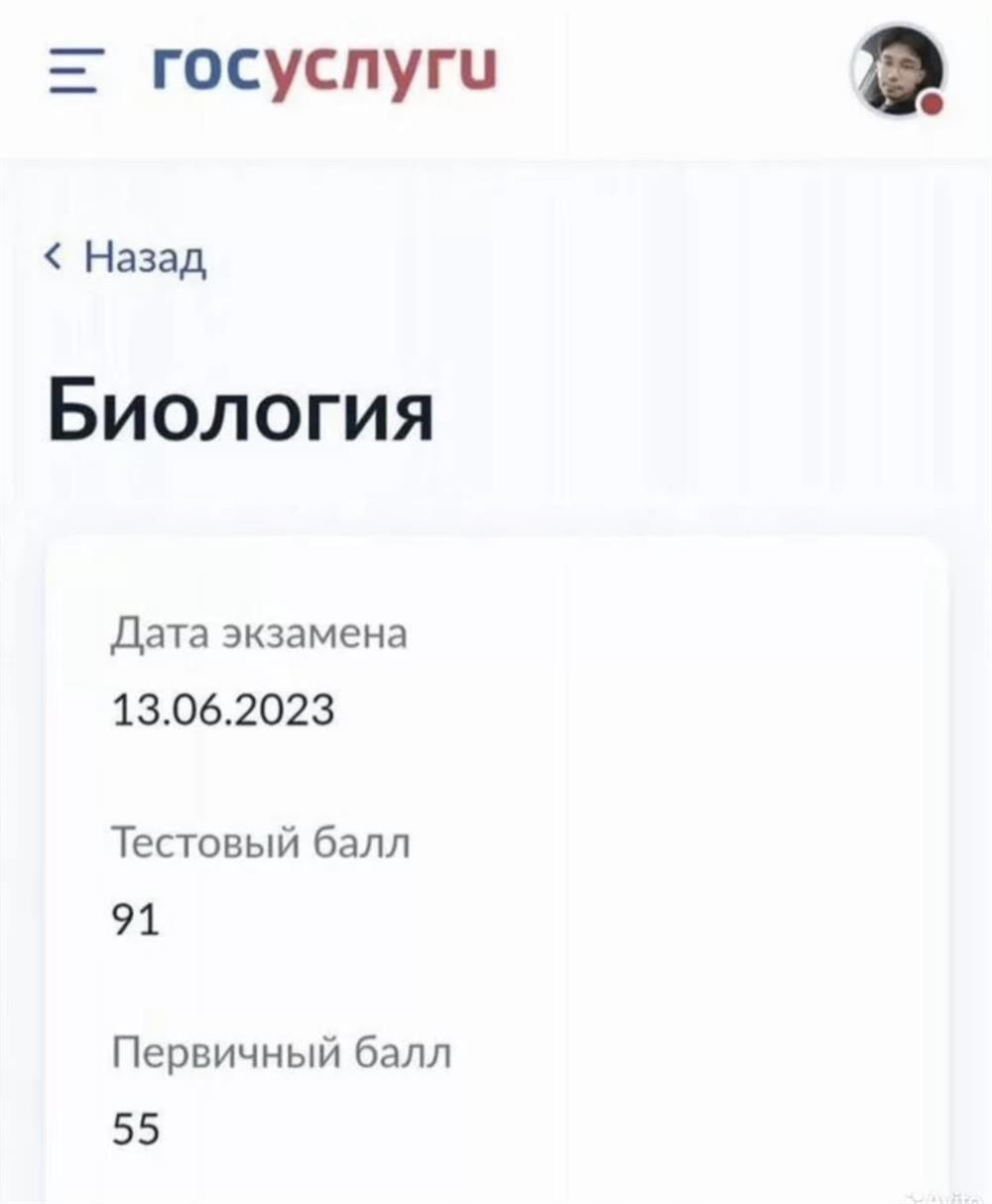 Сам сдал ЕГЭ на 91 балл в 2023 году