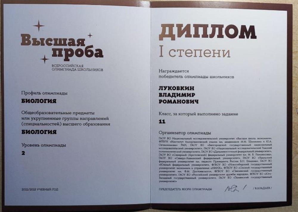 диплом 1 степени, высшая проба