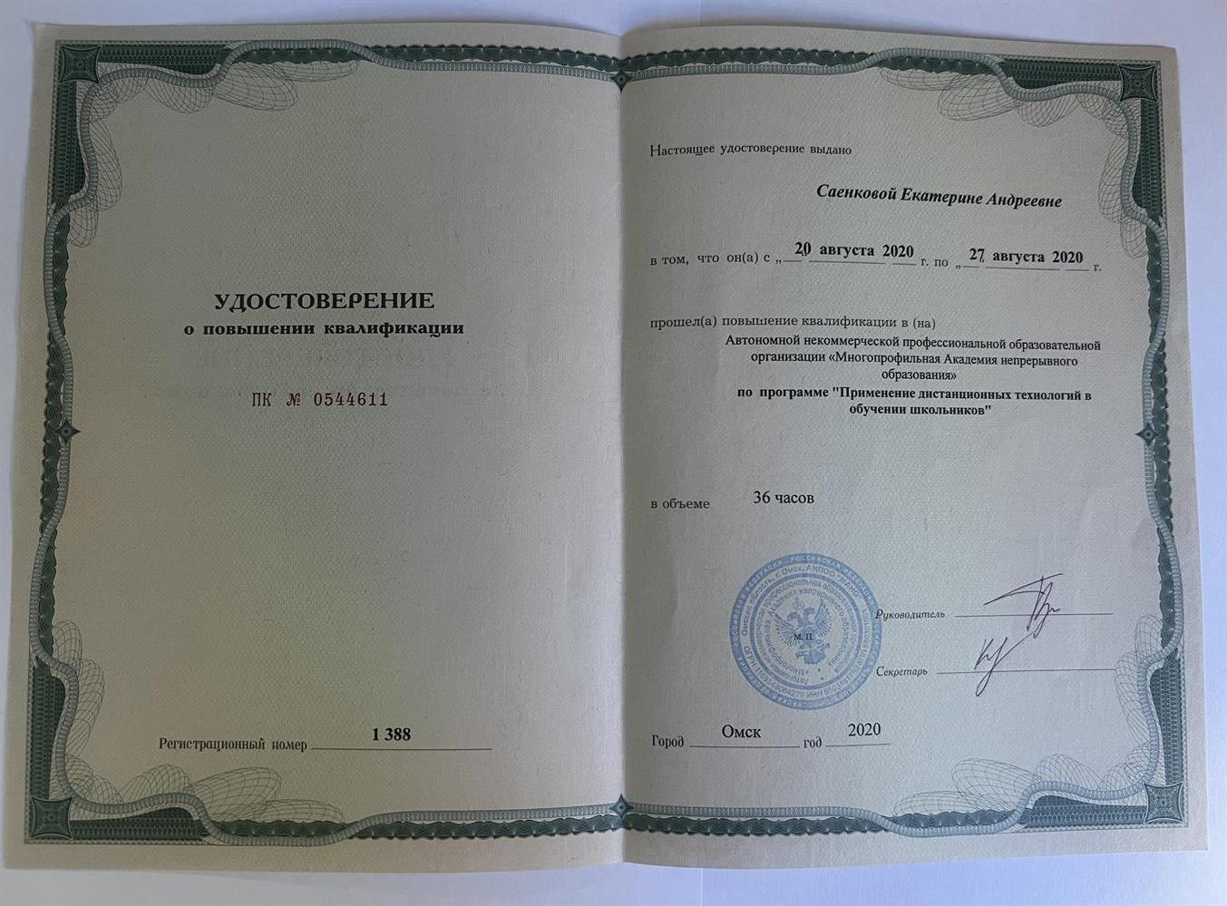Опыт проведения онлайн-занятий с 2020 г. 