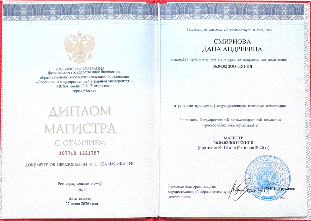 Диплом Магистра с отличием