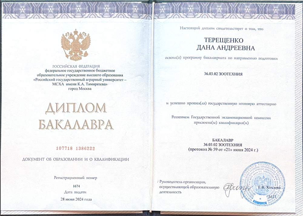 Диплом Бакалавр
