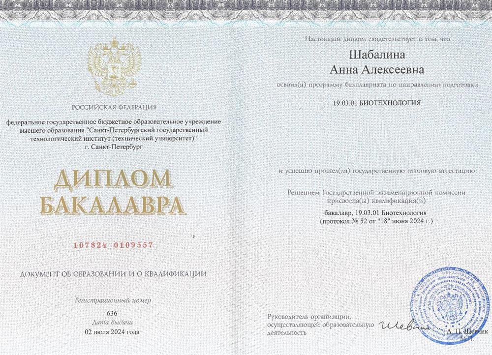 Диплом Бакалавр