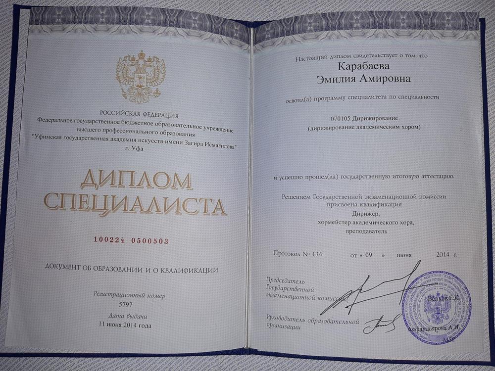 Уфимская Государственная Академия (институт) искусств им З. Исмагилова
дирижер, руковолитель хорового коллектива, преподаватель