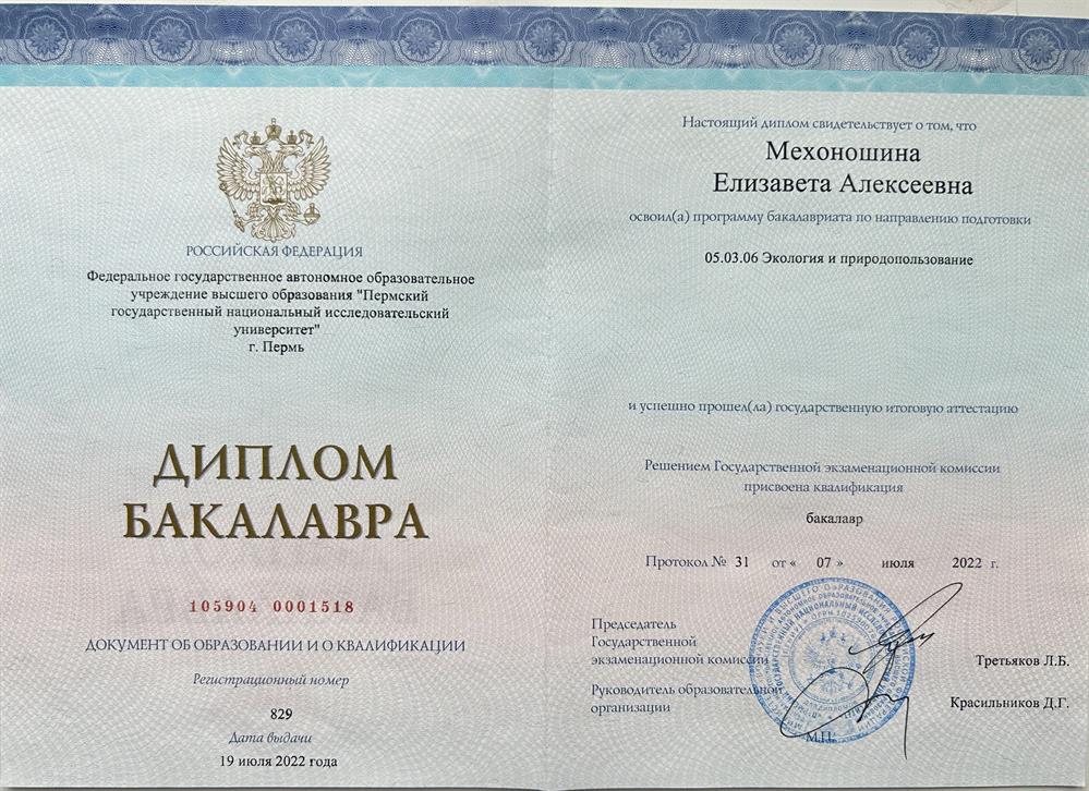 Диплом бакалавра географического факультета Пермского государственного университета. (Указана девичья фамилия)