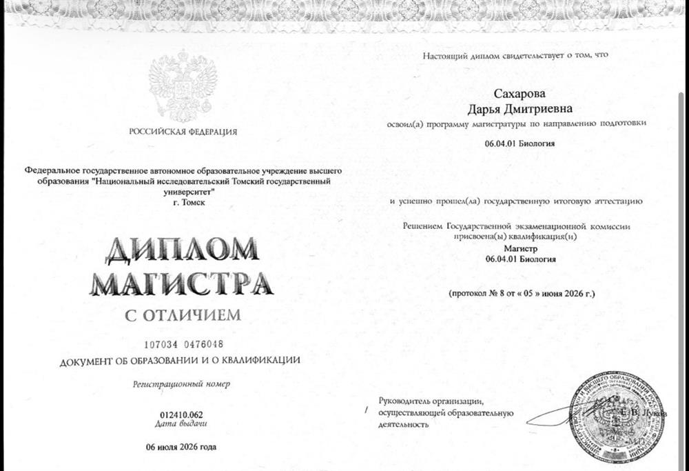 Диплом магистра