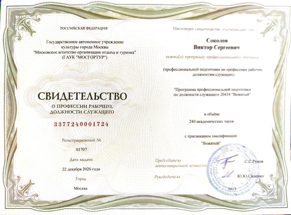 Свидетельство Вожатый 