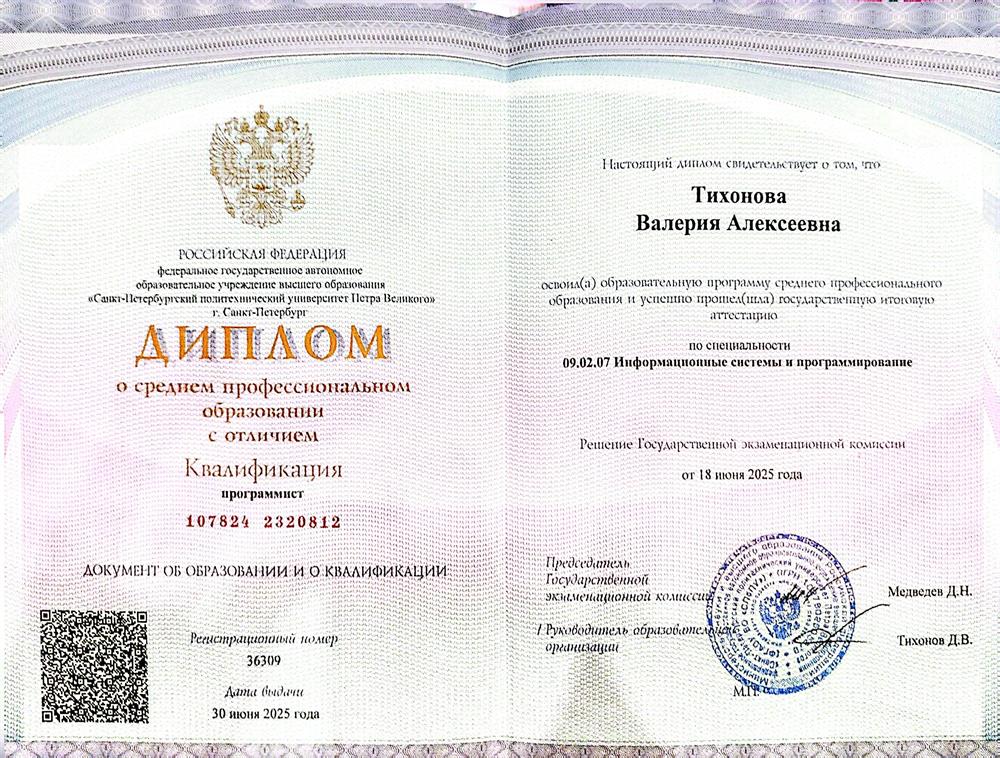 Диплом программиста 