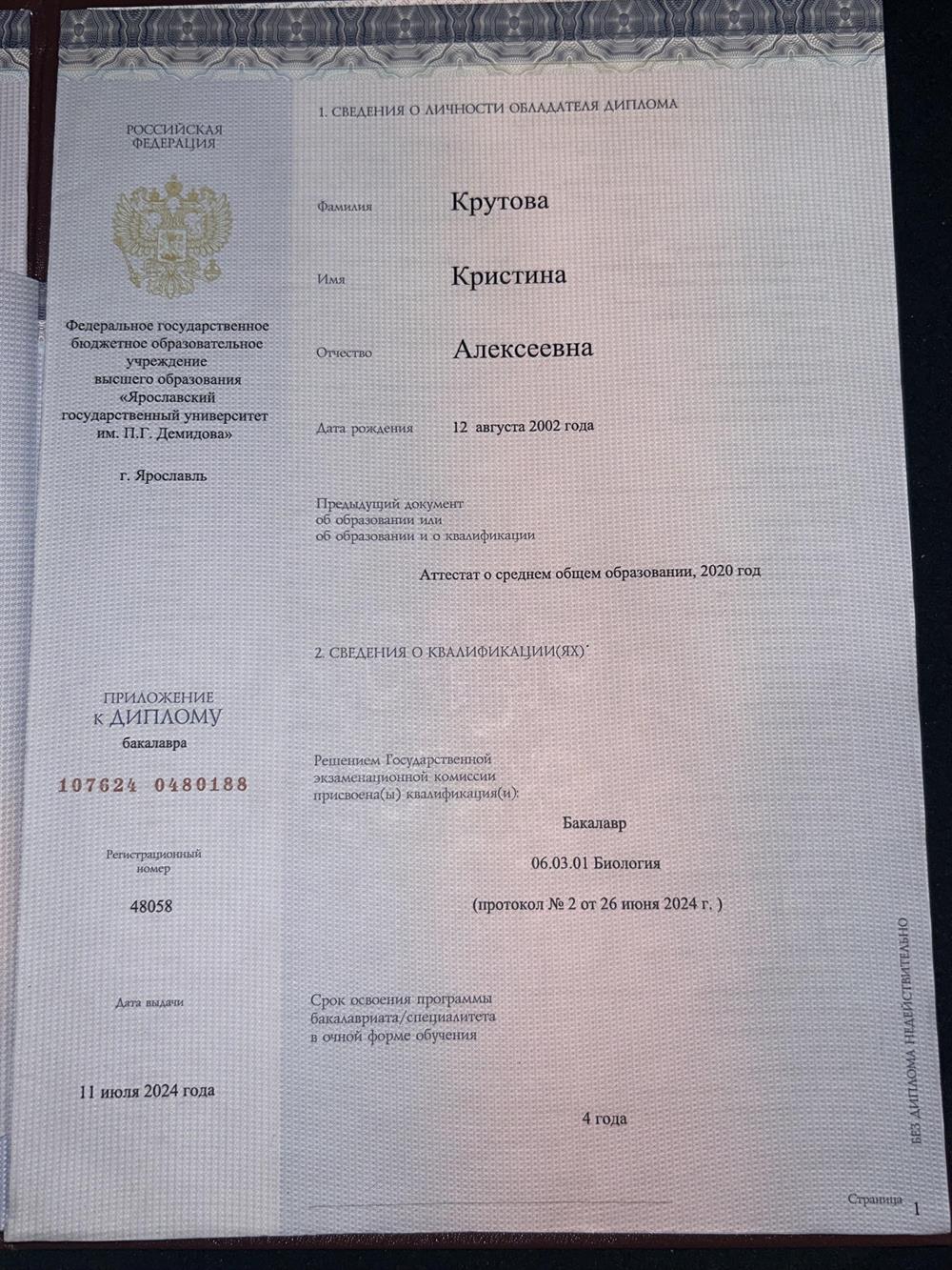 диплом бакалавриат 