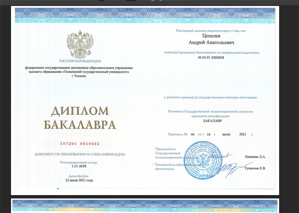 Первая страница диплома