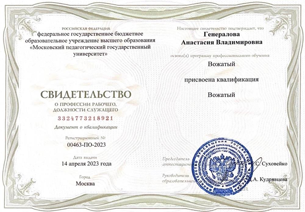 Свидетельство о профессии «Вожатый». 
