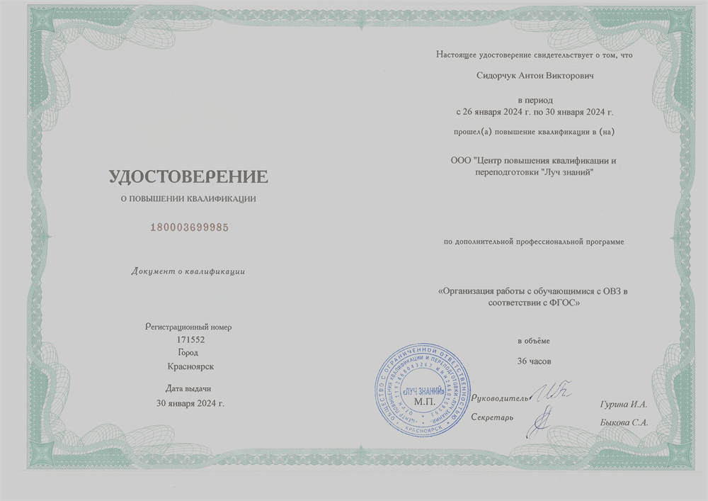 Организация работы с обучающимися с ОВЗ в соответствии с ФГОС