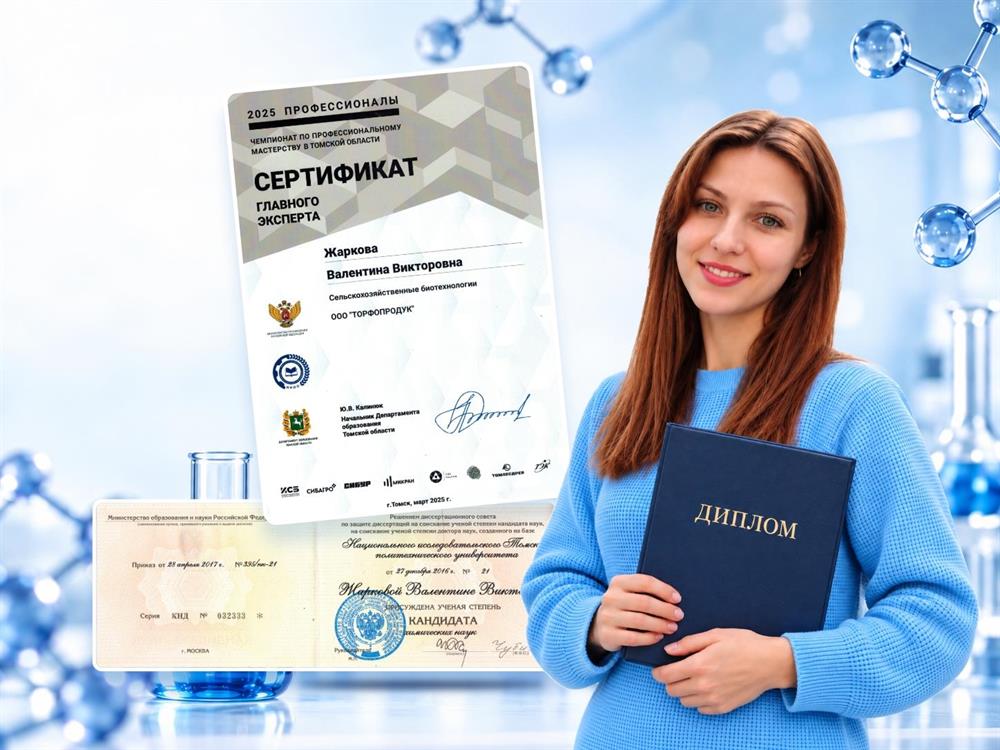 Диплом кандидата химических наук и сертификат главного эксперта образовательной программы "Профессионалы"