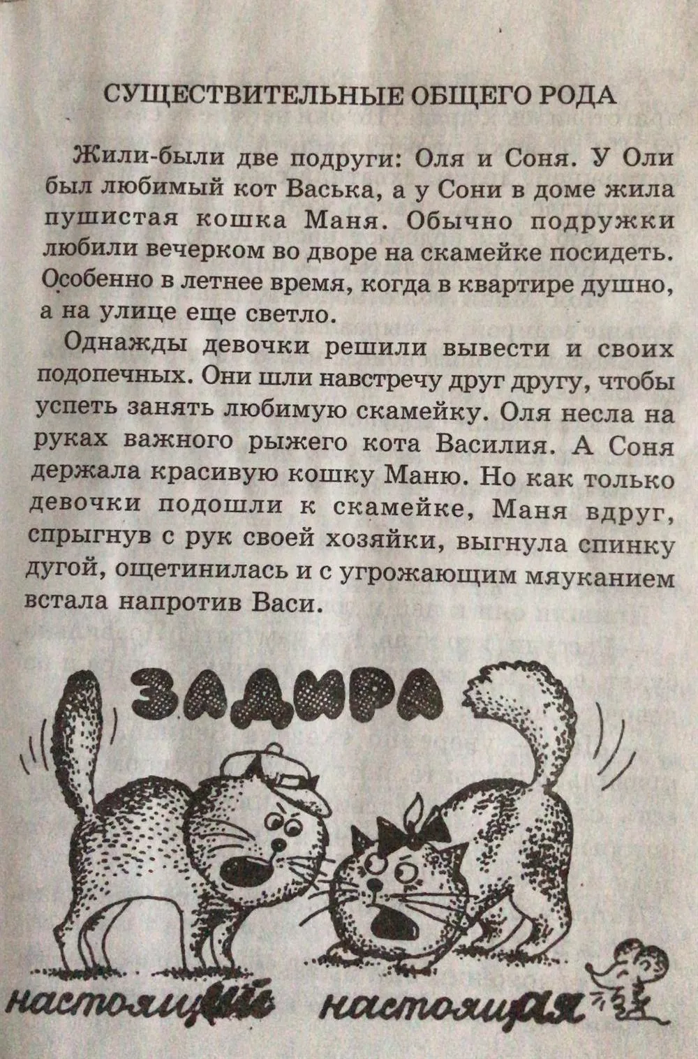 Отрывок из книжки (история на лингвистическую тему)